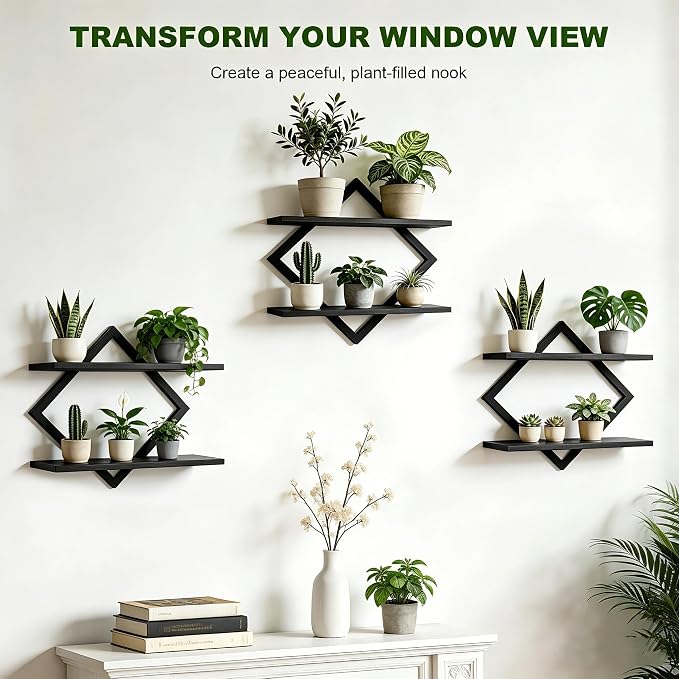 Set of 3 Wall Plant Holder, Black | Wall Planters for Indoor Plants, Window Plant Shelves, Floating Wall Shelves, For Plants, Books, Photos