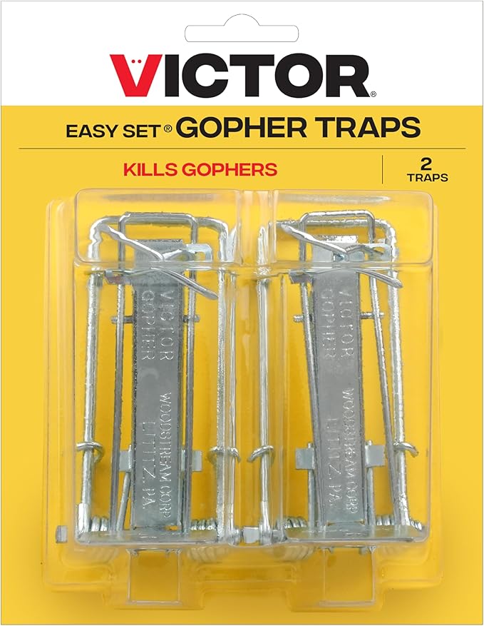 Victor Easy Set Weather-Resistant Outdoor Gopher Trap - 0611 - Versatile Gopher Trap - Kill Gophers in Yard - 2 Pack