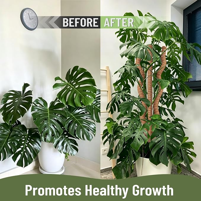 3-in-1 Moss Pole Monstera, Bendable Plant Support, 29.9Inch Moss Poles for Climbing Plants, Plant Stakes for Indoor Plants, Plant Support for Monstera, Pothos - 1 Pack