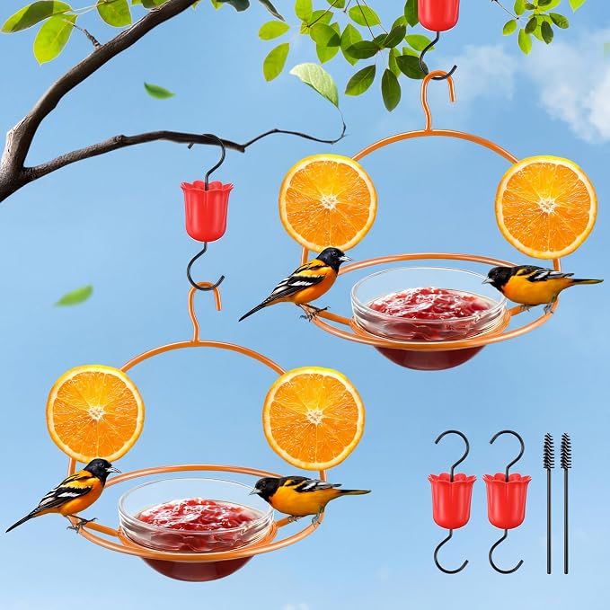 2 Pack Metal Oriole Feeders for Outdoors Hanging with Ant Moat and Fruit Holder, Oriole Feeder with Glass Bowl, Easy to Disassemble and Wash, Bird Feeder for Garden, Outdoor, Gift (Orange)