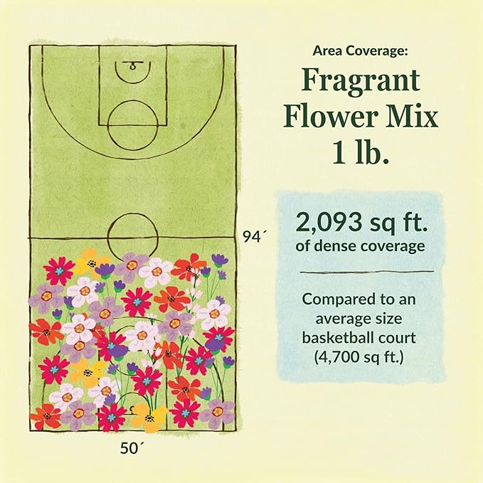 Ferry-Morse Flower Seeds - Fragrant Wildflower Mix, Non-GMO, Fragrant Flowers - 1 lb - Other