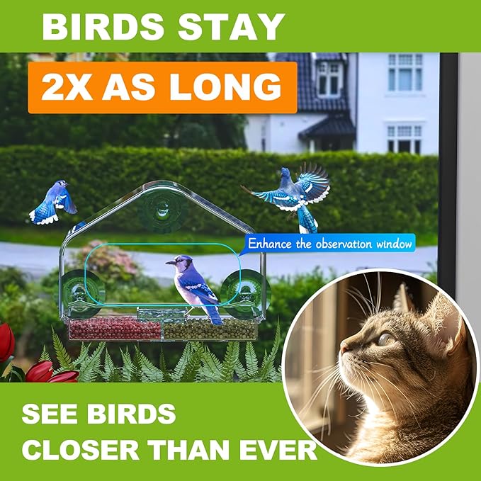 Window Bird Feeder,Powerful Suction Cups,House Bird-Watching Windows,Squirrel Proof Bird Feeder,Drainage Hole,Removable Tray,Large Capacity Seed Storage,The for Bird Lovers