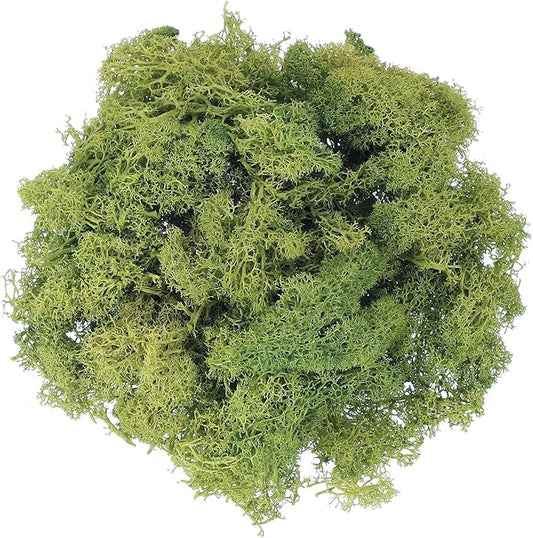 uxcell Preserved Reindeer Moss, 17.6oz Fake Moss for Crafts Artificial Dried Moss for Decoration Terrariums Potted Plants, Dark Green