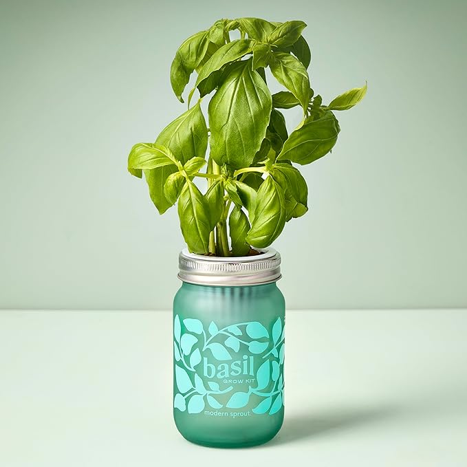 Modern Sprout Mason Garden Jar -Self-Watering Hydroponics Growing System Kit w/Organic Herb Seeds - Jar Planter for Indoor Herb Garden -Seed Starter Kit Basil+Lavender+Sunflower