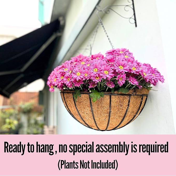 LaLaGreen Hanging Baskets for Plant Outdoor (20 Inch, 4 Pack) Extra Large Black Metal Wire Hanging Planter with Coco Liner Round Flower Pot Holder Hanger Deck Porch Modern Garden Balcony Country Decor