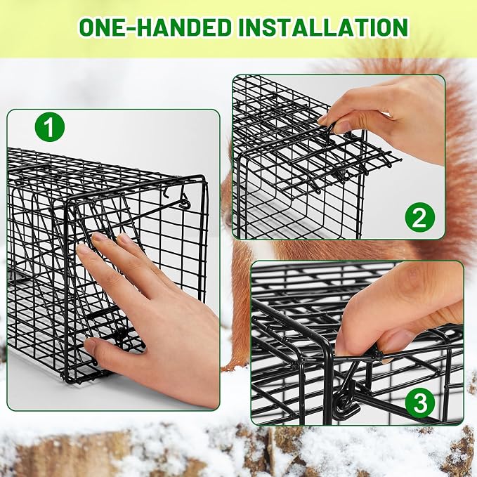 Qualirey 2 Pcs Humane Squirrel Trap Heavy Duty Live Animal Chipmunk Catch and Release Rat Trap for Outdoor Small Animals Mouse Raccoon Stray Cat Rodent Weasels(Black)