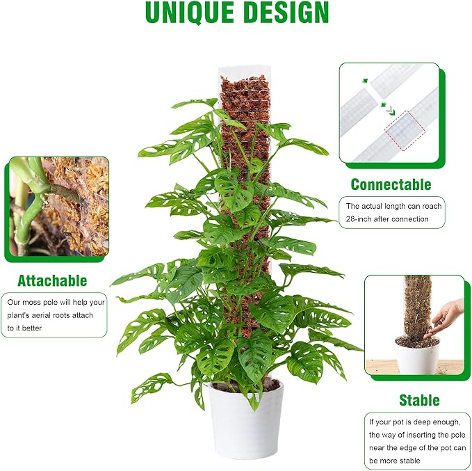 Bonviee 2 Pcs 24 Inch + 2 Pcs 36 Tall Plastic Moss Poles for Monstera – Large D-Shaped Climbing Plant Support, Works with Sphagnum Moss, Includes 2 Garden Ties