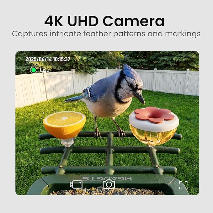 HEAPETS Smart Bird Feeder with Camera, 4K Ultra HD Live Stream, AI Species Identification, Solar Powered, Instant Motion Alerts, IP65 Weatherproof Outdoor Gifts for Bird Lovers, Green