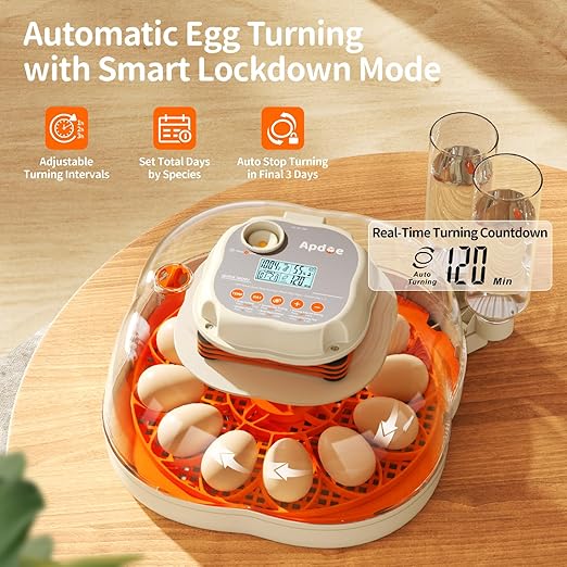 APDOE Egg Incubators for Hatching Eggs, Temperature and Humidity Control, Automatic Egg Turning, Egg Candler, External Water Bottle, Air Vent, for Chicken, Duck & Quail Eggs, 12 Eggs + 30 Quail Eggs