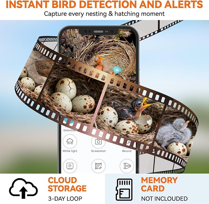 Bird House with Camera - Hanging Wooden Bird Houses for Outside Clearance：1080p HD Wireless Bird Feeder Camera for Outdoors Bird House Box Gift for Father Mother (Birdhouse Camera 1)