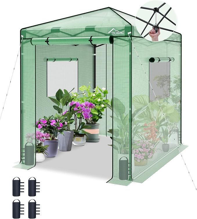 Acepic 8x6 Instant Pop up Greenhouses, Indoor Outdoor Portable Greenhouse Walk-in, Small Green House for All Season with Roll-Up Zipper Doors and Side Windows, 4 Sandbags, Pe Cover, Green/Clear
