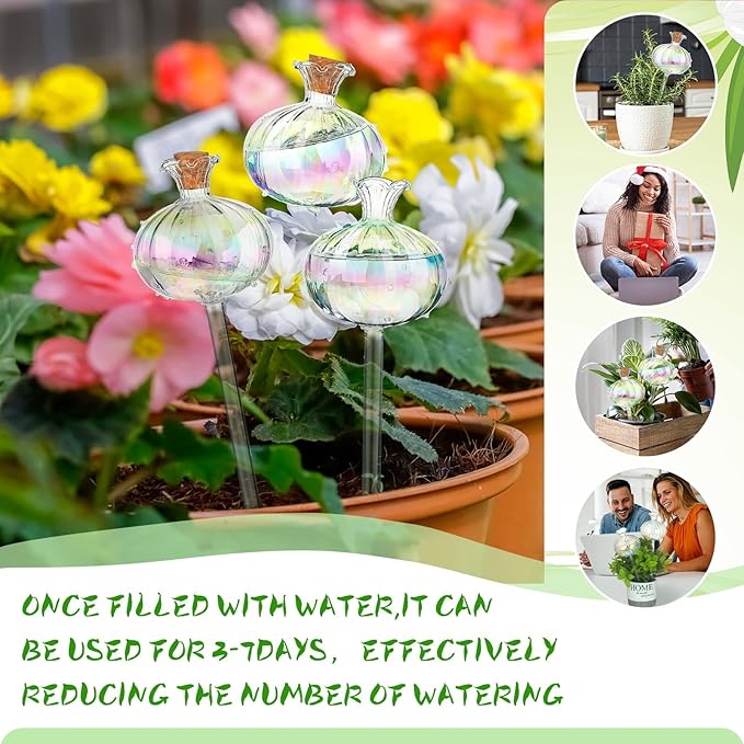 Yungyan 6 Pcs Self Watering Plant Globes Glass Cactus Insert Watering Devices Automatic Plant Watering Bulbs Water Globes for Indoor Outdoor Plants(Rainbow Color,9.84 Inch)