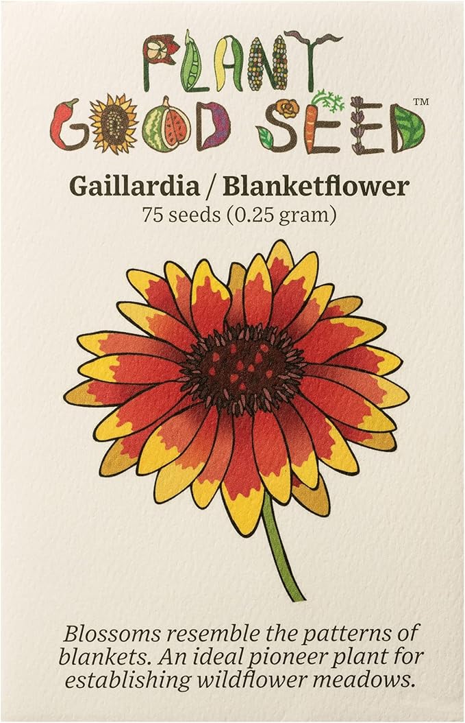 Plant Good Seed Organic Gaillardia aristata Seeds - Pack of 75, Heirloom Seeds for Planting Flower - Gardening Supplies, Wildflower, Herb Garden, Flower Seeds to Plant Outside - Non-GMO, from USA
