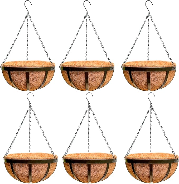 LaLaGreen Outdoor Hanging Baskets for Plants (16 Inch, 6 Pack) Large Hanging Planter with Coco Liner, Black Plant Metal Flat Iron Round Flower Pots Deck Patio Modern Garden Balcony Outside Decoration