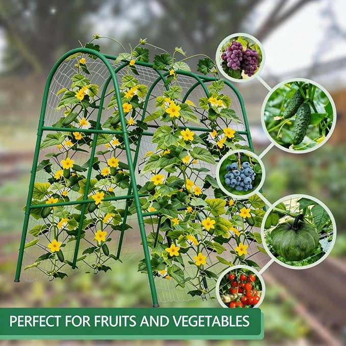 Metal Garden Arch Trellis, 5.4Ft Black for Raised Beds, Plant Support for Cucumbers & Climbing Vegetables