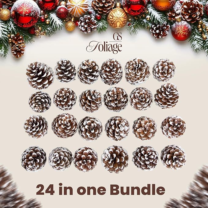 Frosted Austriaca Pine Cones for Crafts - 2-3 Inch Winter Pinecones for Christmas Decorating Ornaments Snowy Holiday Decorating Vase Filler - Rustic Dried Pine Cones - Set of 24 – Frosted