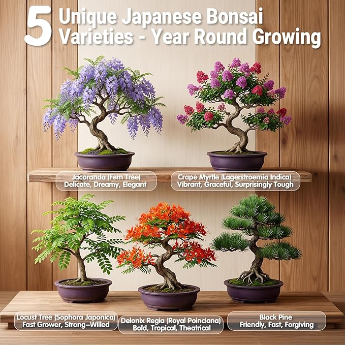 Bonsai Tree Starter Kit for Beginners 5 Unique Indoor Bonsai Trees with Gardening Tools DIY Bonsai Growing Kit Perfect Gifts for Women Men Plant Lovers for Birthday Mothers Day Housewarming