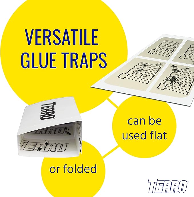 TERRO Spider & Insect Trap T3206-10 - Pack of 10 Insect Traps