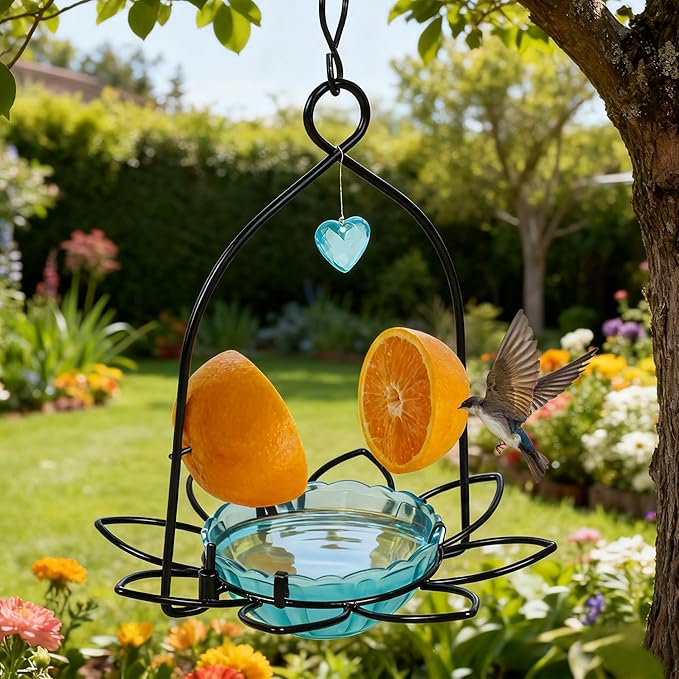 FORUP Oriole Bird Feeder, Orange Fruit Oriole Feeder (Blue)