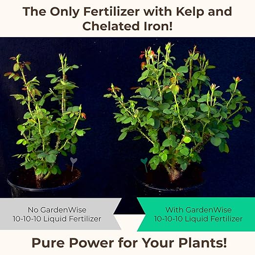 GARDENWISE 10-10-10 All Purpose Plant Food - Liquid Fertilizer with Seaweed Kelp & Iron - Indoor & Outdoor Plant Food, Vegetables, Flowers, Lawn & Garden 1x16 oz
