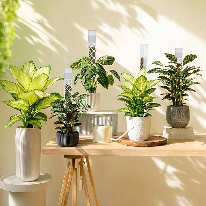 GJL Self Watering Moss Pole for Monstera, Stackable Clear D Shape Moss Pole with Watering Dripper, Indoor Climbing Plant Support for Pothos and Philodendron