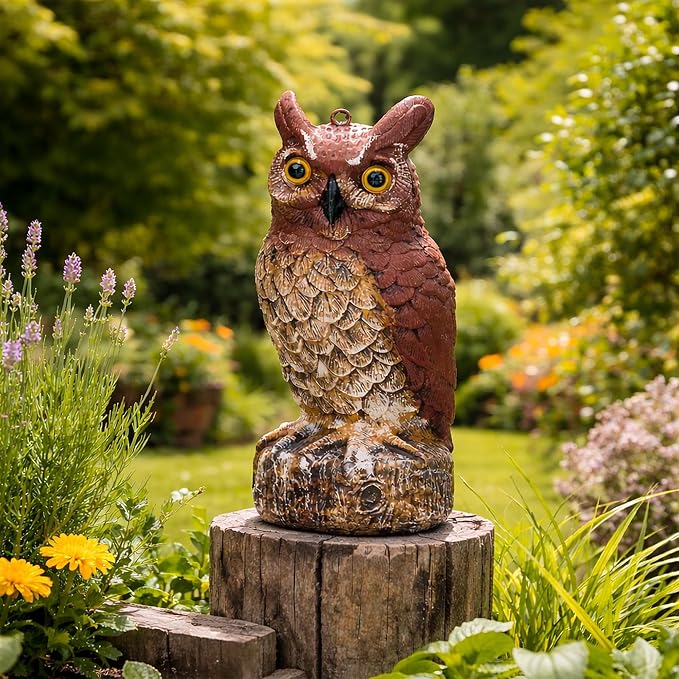 Owl Deterrent 11 Inch – Plastic Fake Decorative Bird Scarecrow Protection, Nature’s Enemy Pest Repellent to Scare Birds Away, Outdoor Garden Yard Protector Statue, Realistic Eyes, Home Halloween Decor