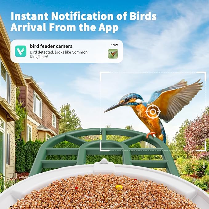 HARYMOR Bird Feeder with Camera with AI Identify Birds Species Solar Powered, Smart Bird House with Cam, 2K HD Video Live Stream, Instant Arrival Alerts - Green