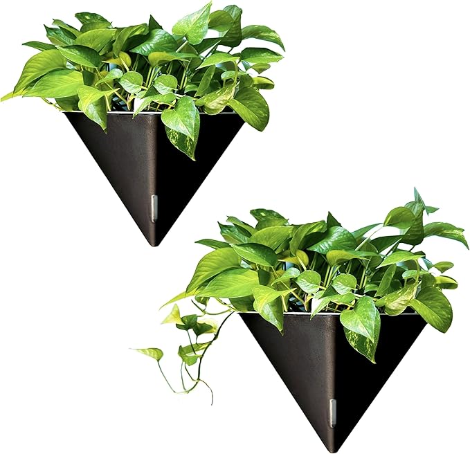 LaLaGreen Wall Planters for Indoor Plants - 2 Pack, 12 Inch Large Self Watering Black Geometric Hanging Flower Vase Vessel with Metal Hanger, Modern Stylish Wall Mounted Succulent Pot Holder Decor