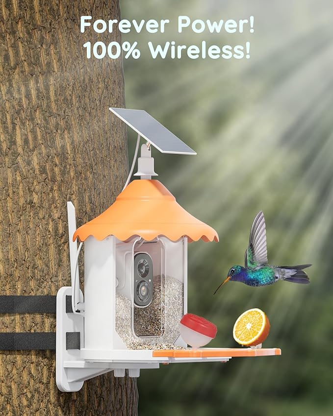 Hiseeu 3MP Feeder with Camera, 2.5L, AI Identify 11000+ Species, Solar Powered, Auto Capture Bird Videos & Motion Detection, Smart Bird Watching Camera Wireless Outdoor (Orange-64G)