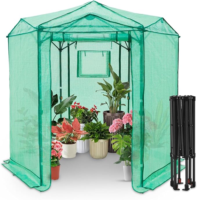EAGLE PEAK 6.6x6.6 Portable Walk in Greenhouse, Pop Up Indoor Outdoor Greenhouse, Green House Kit with Zippered Roll-Up Doors and Windows, Hexagon Design, PE Cover, Clear/Green