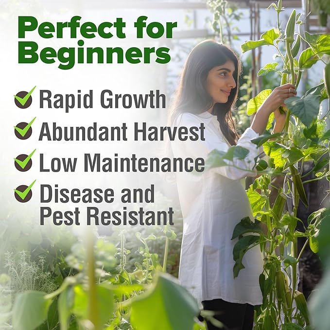 HOME GROWN Clemson Spineless Okra Seeds 202+ Heirloom Non-GMO Seeds for Planting, High Germination, Prolific Heat Loving Vegetable, Tender Pods, Easy to Harvest Home Garden (Abelmoschus esculentus)