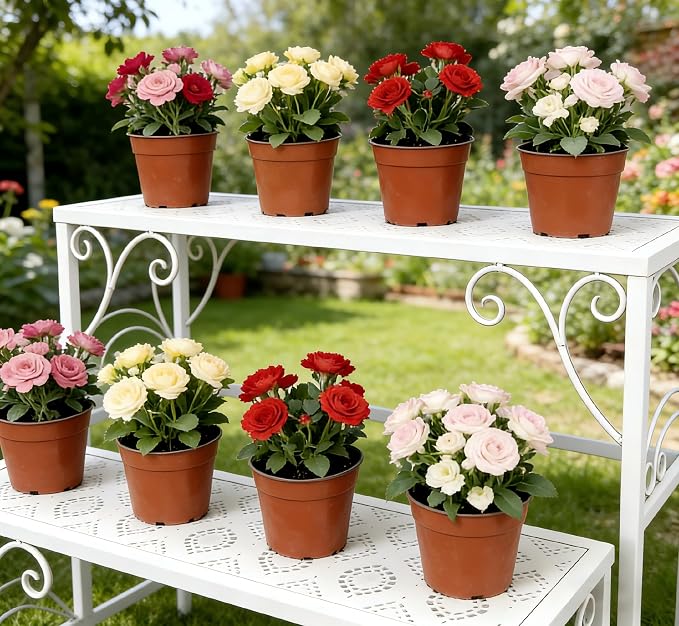 2 Tier Metal Plant Stand, Ladder Flower Pot Holder Plant Stands, Stackable Heavy Duty Tall Plant Shelf Flower Pot Holder for Patio Garden Corner Balcony Living Room (2 Tier H16.3 In-White)