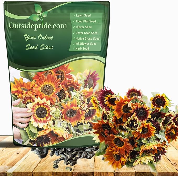 Outsidepride Autumn Beauty Sunflower Seeds for Planting - 5 Lbs. Annual, Easy to Grow Flower Seeds w/Vibrant, Abundant Blooms for Cut Flower Arrangements & Pollinator & Vegetable Gardens