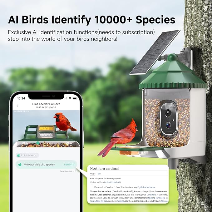 Loatos Bird Feeder with Camera AI Identify 2K Live Video Smart Bird Feeder with Camera, 2.4GHZ WiFi Solar Birds House Cameras, Motion Detection Instant Arrival Alerts, Ideal Present for Birds Lovers