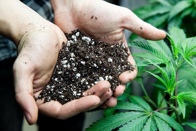 Gardenera Organic Autoflower Plants Potting Soil Mix - Perfect Balance of Nutrients, Drainage, and Aeration for Thriving Autoflower Plants- 20 Quart