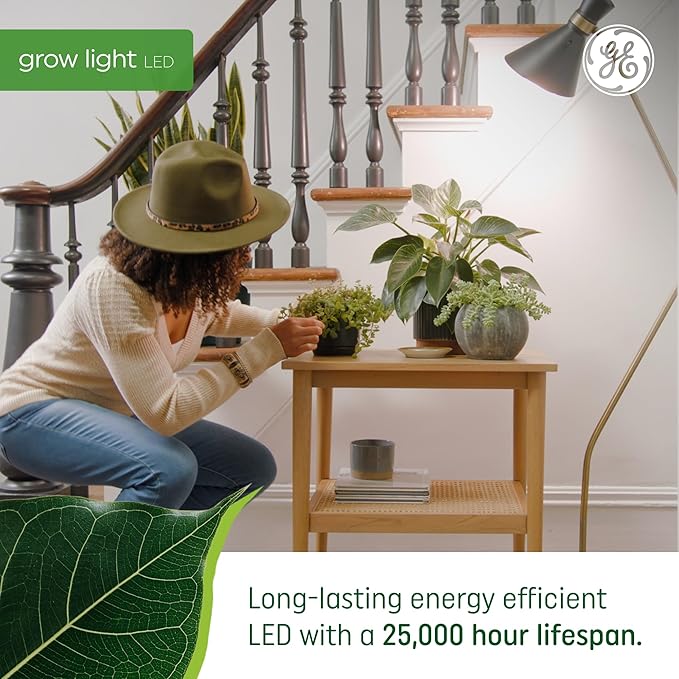 GE Grow LED Light Bulb, PAR38 Flood Light, Indoor LED Grow Lights for Flowers and Fruit, Advanced Red Light Spectrum, 25,000 Hour Lifespan, 50 PPF, 1 Pack (Packaging May Vary)