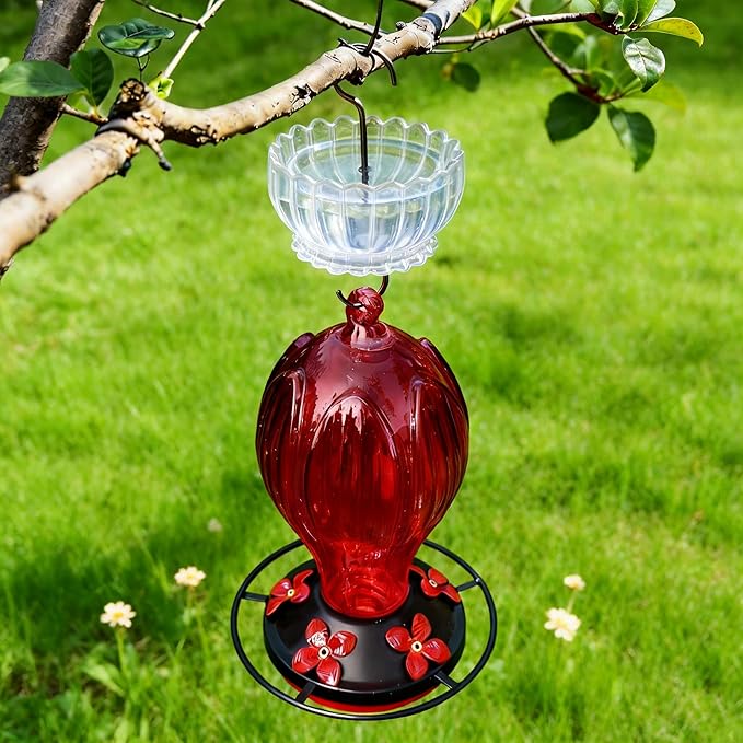 Extra Large Ant Moat for Hummingbird Feeder - Pack of 2PC x 9 OZ Capacity Insect Guard Daisy (Clear)