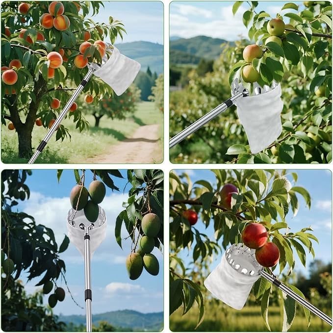 BURMONG 13.8 FT Fruit Picker Tool with Stainless Steel Pole & Soft Basket – Adjustable Tree Fruit Harvester for Apple, Mango, Avocado, Orange, Pear, Lemon & More – Lightweight & Rust-Resistant
