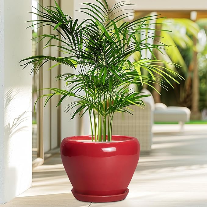 Ceramicfor Ceramic Planter for Indoor Plants 8 Inch - Ceramic Plant Pot with Drainage Hole and Saucer, Glaze Round Decorative Modern Flower Pot, Housewarming Gift, Home Room Office Decor, Red