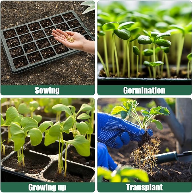24XL Cell Seed Starter Tray with Dome, 5-Pack 2" Plug Seedling Trays (Total 120 Cells), Plant Germination Tray with Humidity Vented Lid and Base, Mini Propagator Plant Greenhouse for Seed Growing
