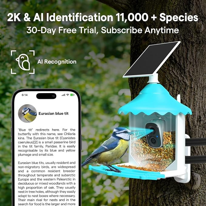BirdsView Solar Powered Bird Feeder with 2K Ai Camera, Hummingbird Feeder, Bird House Camera, Live Alerts & Species Recognition – Gift for Bird Lovers