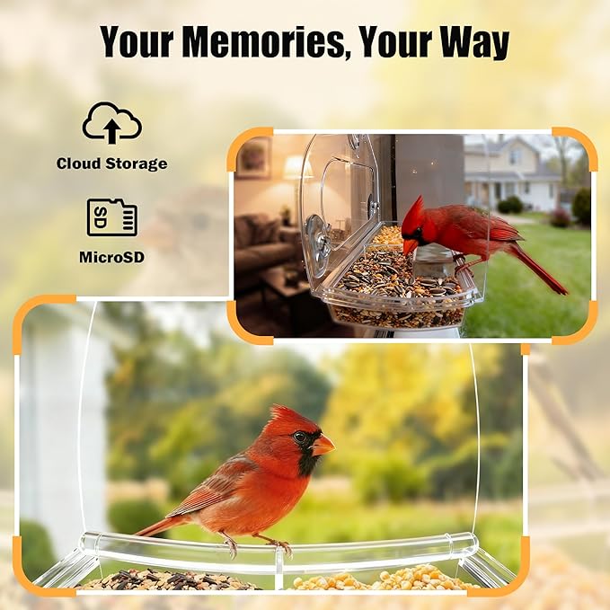 Smart Window Bird Feeder with 2K Camera & AI Identification, Strong Suction Cup Mount, All-Weather Design, Real-Time Alerts, Easy to Install, for Apartments & Homes, Perfect for Bird Lovers