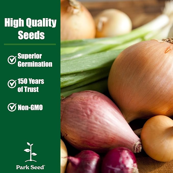 Park Seed Yellow Granex Hybrid 33 Onion Seeds – Famous Vidalia-Type Sweet Onion, Short-Day Variety for Mild Climates, Sugary Flavor, Early Maturing and Easy to Grow – Pack of 200 Seeds