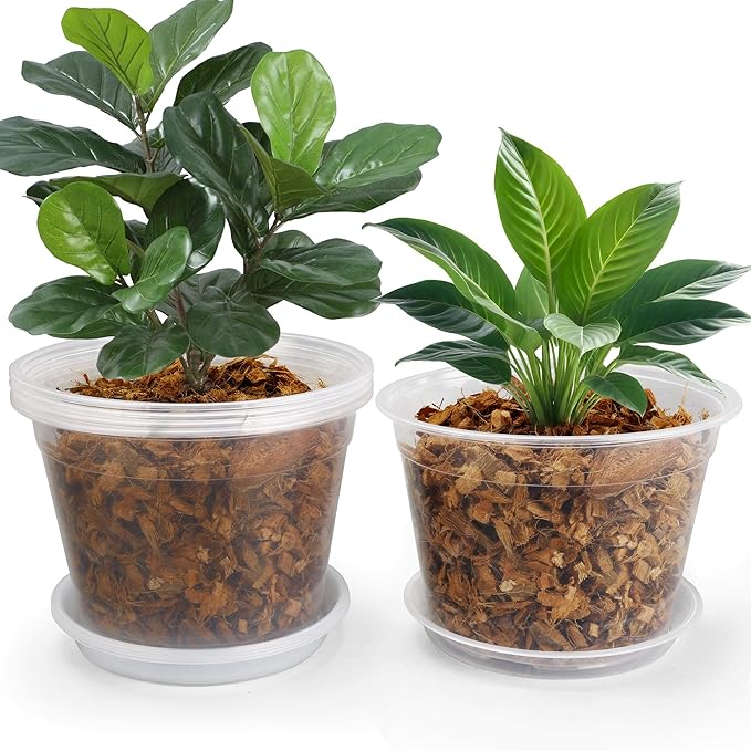 8 Inch Clear Nursery Pots with Drainage and Saucers, 5 Pack Large Clear Plastic Nursery Pots for Plants, Seedling Plant Pots for Repotting and Growing Plants, Flowers & Vegetables(8 inch)