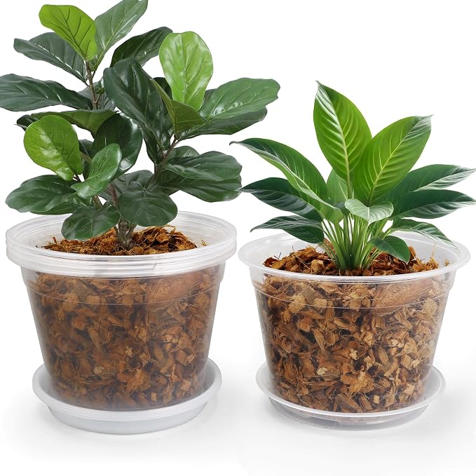 10 Inch Clear Nursery Pots with Drainage and Saucers, 5 Pack Large Clear Plastic Nursery Pots for Plants, Seedling Plant Pots for Repotting and Growing Plants, Flowers & Vegetables (10 inch)
