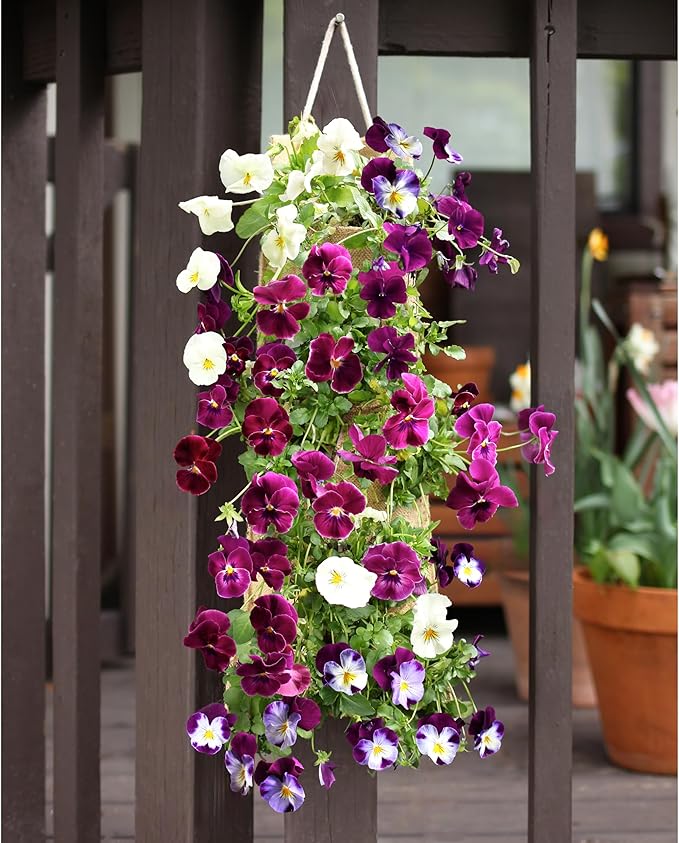 HANG & GROW Burlap Hanging Planter Bags for Outdoor Plants, Vertical Flower Hanging Bag for Easy Outside Garden Decoration, Reusable for Flowers, Strawberry, Vegetables and Herbs, (1 Bag, 6 Holes)