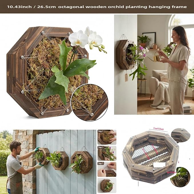 Staghorn Fern Mounting Kit - Wood Wall Planter for Orchids,Herbs & Indoor Plants | Hanging Plant Holder, Basket & Stand for Wall Decor(10.43inch)