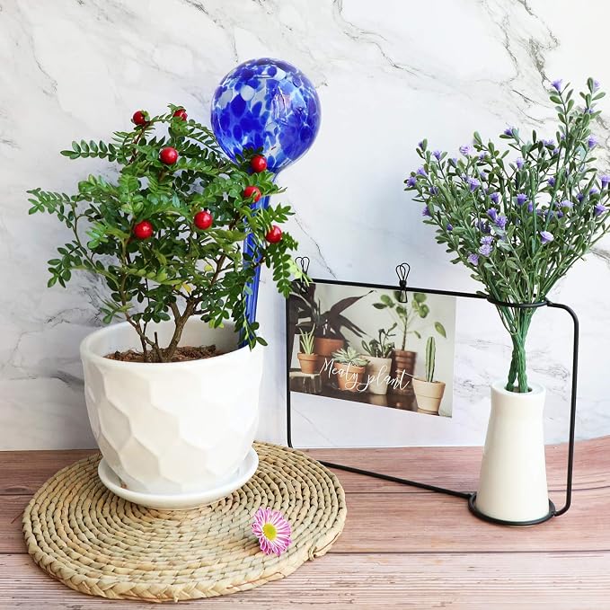 Plant Watering Globes Automatic Glass Watering Bulbs, Glass Ball Planter, Decorative Garden Watering Plant Watering Bulbs with 2-Pack, 3.35 inch Diameter