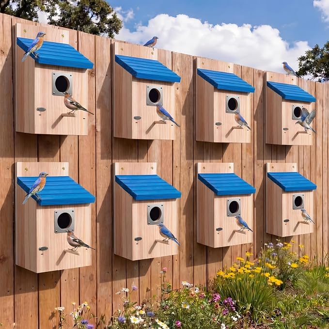 Dreyoo 8 Pack Bluebird Houses for Outside, 1-1/2'' Entrance Hole Wooden Bluebird Houses for Outdoors with Metal Guard, Secure Latch, Fledgling Grooves, Air Vents (Blue Roof with Wood Body)