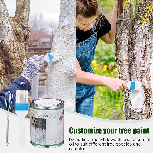 Kathfly 1 Pack Tree Paint Kit Tree Whitewash Trees Trunk Protection with Tinplate Container Whisk Brush for Fruit Nut Ornamental Trees Sapling Garden Yard Orchard (7" Whisk,Large White Brush)